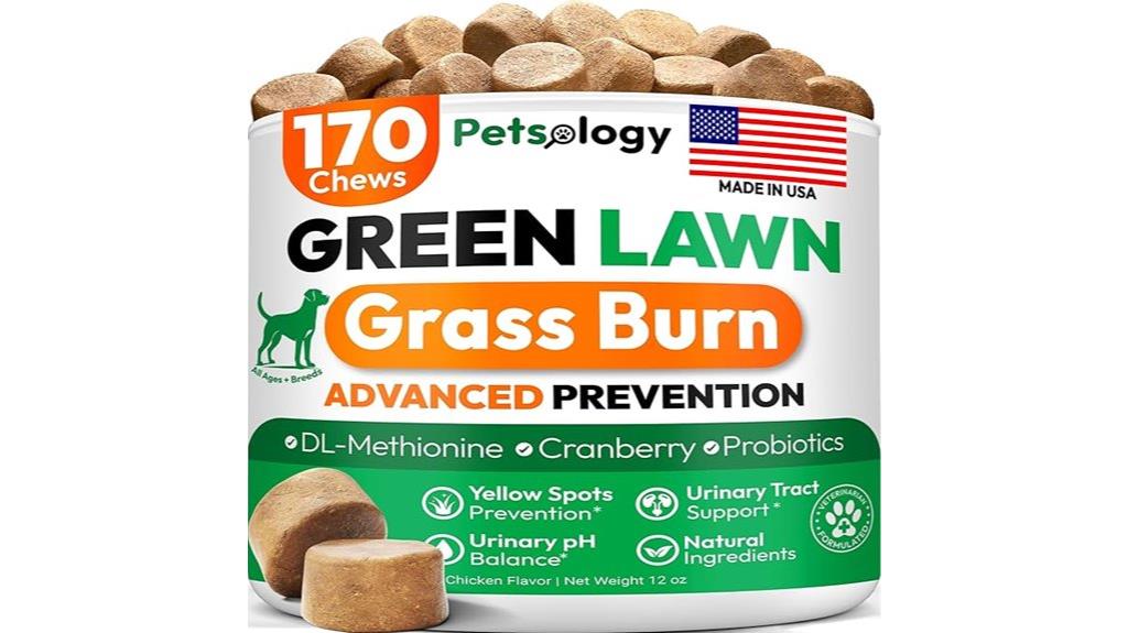 dog urine smell remover