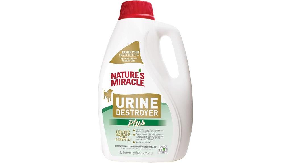dog urine stain remover