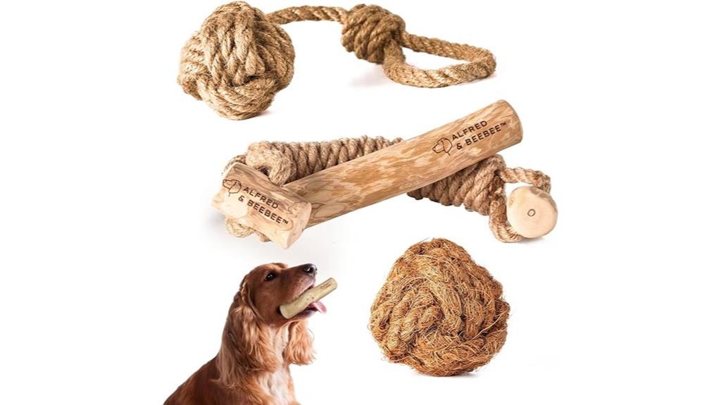 eco friendly dog chew toys