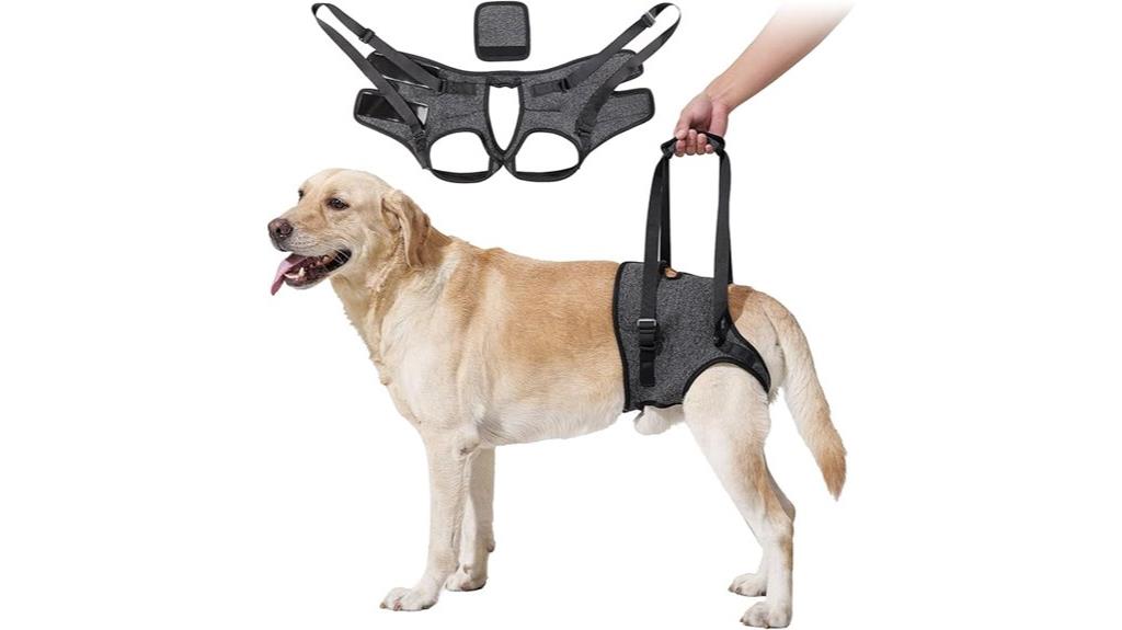 large dog hind leg harness