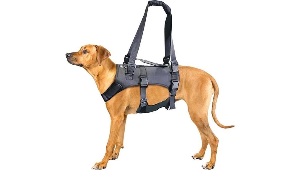 large dog lift harness