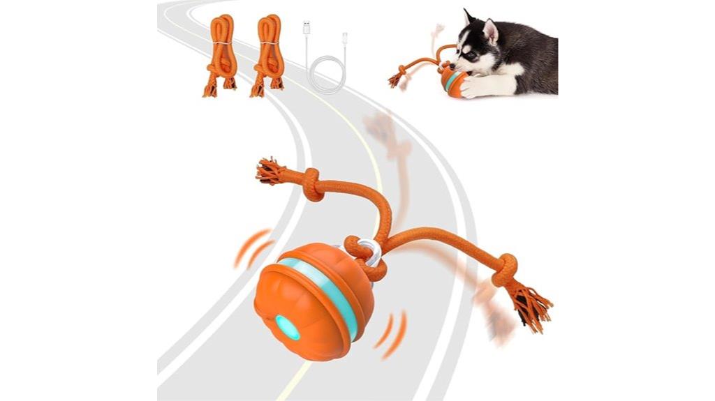 motion activated dog toy