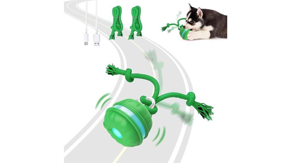 motion activated dog toys