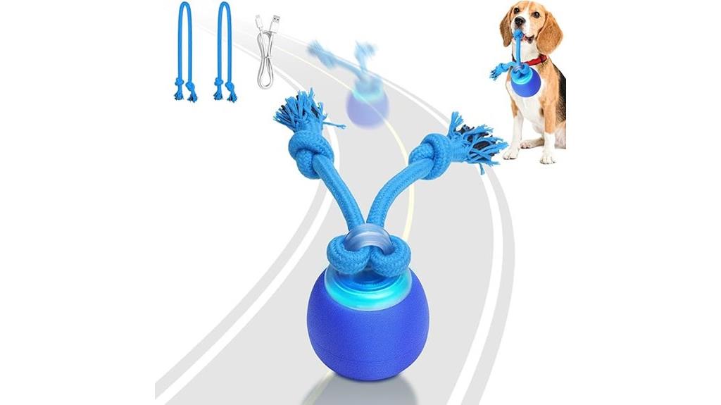 motion activated squeaky ball