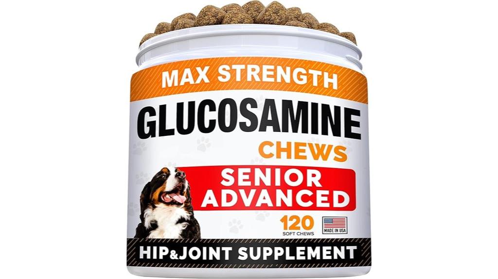 senior dog joint supplement
