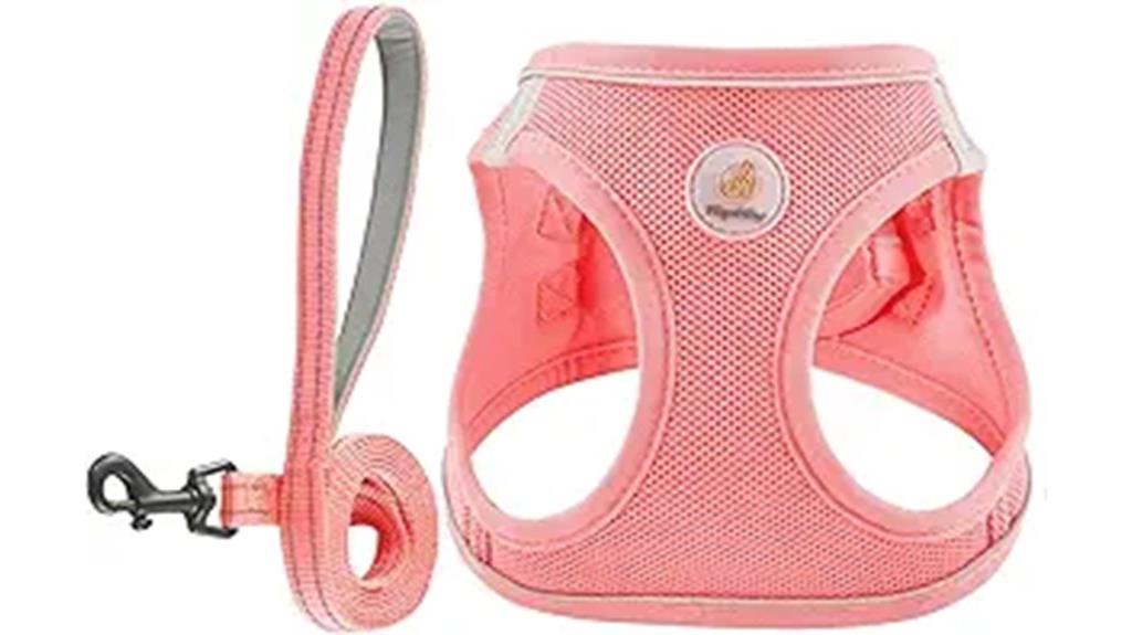 small dog cat harness