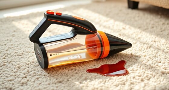 top portable spot cleaners