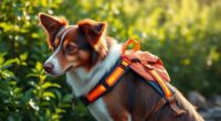 top reflective dog hiking backpacks