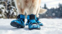 top snow dog boots