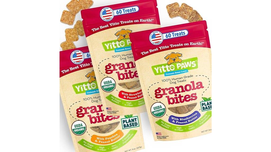 vegan organic dog biscuits