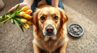 common dog allergy triggers