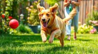 controlling dog hyperactivity effectively