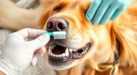 daily dog teeth brushing