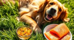 dog health and wellness