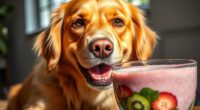 healthy dog smoothie recipes