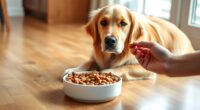 managing canine food possessiveness
