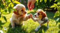 managing puppy aggression behavior