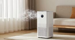 cadr for pet allergens