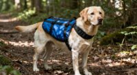 dog hiking pack weight limits
