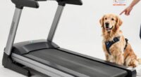 dog treadmill safety guidelines