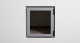 hidden wall pet entry