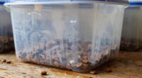 moisture causes kibble rancidity