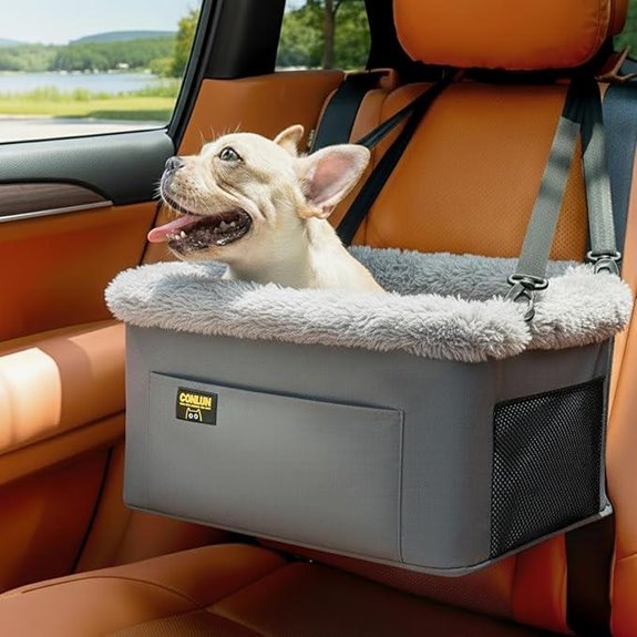 small pet safety booster
