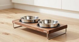 top adjustable large dog feeders