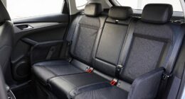 top car dog barriers