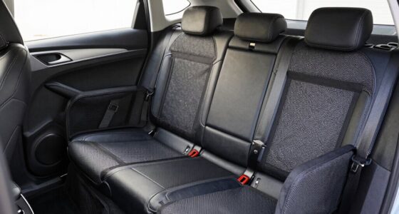 top car dog barriers