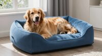 top cooling dog beds