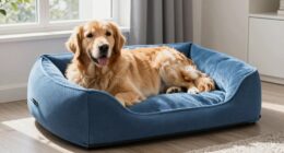 top cooling dog beds