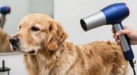 top dog blow dryers