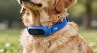 top dog health trackers