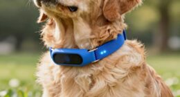 top dog health trackers