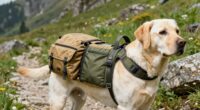 top dog hiking backpack gear
