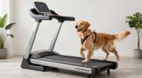 top dog treadmill picks