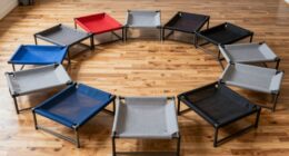 top elevated dog bed list