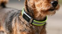 top gps collars for small dogs