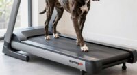 top large dog treadmills
