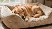 top orthopedic dog bed rankings