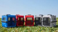 top portable dog crate options
