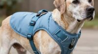 top senior dog harnesses