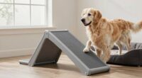 top senior large dog ramps