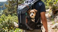 top small dog hiking carriers