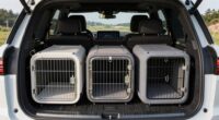 top suv dog kennel picks