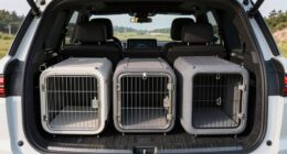 top suv dog kennel picks