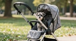 senior dog arthritis strollers
