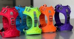 top crash tested escape harnesses