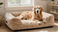 top dog orthopedic mattress
